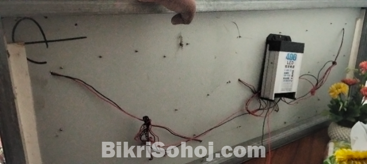 Digital Lighting Banner